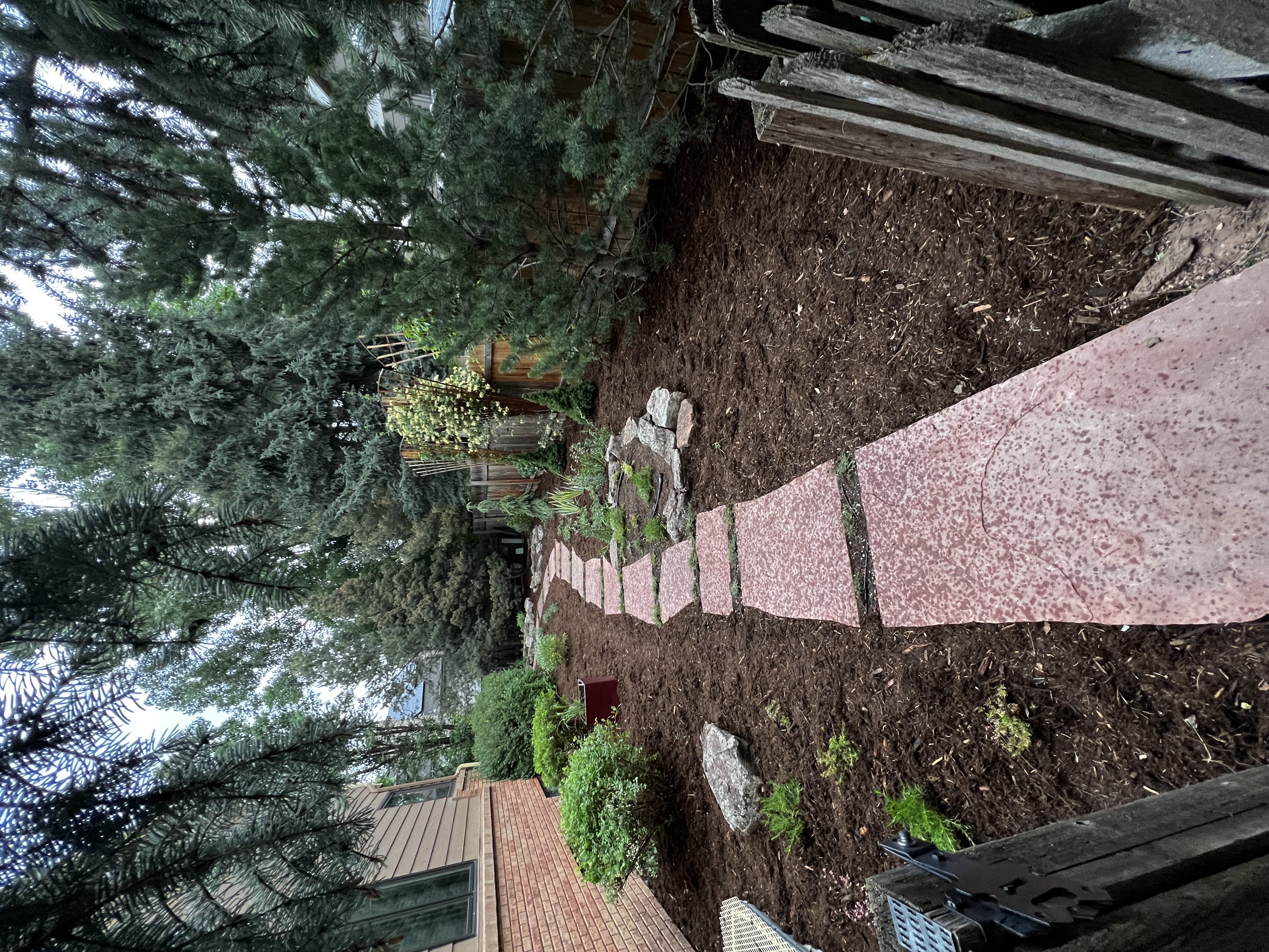 Flagstone pathway with mulch and evergreen landscaping